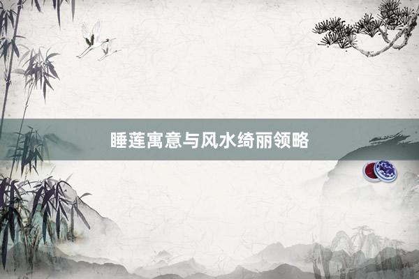 睡莲寓意与风水绮丽领略