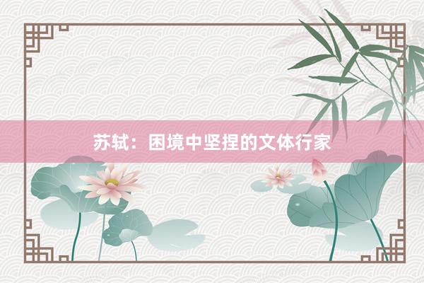 苏轼:困境中坚捏的文体行家
