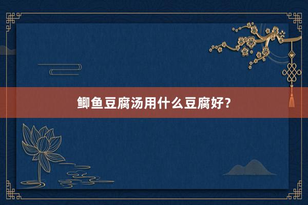 鲫鱼豆腐汤用什么豆腐好?